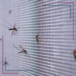 moskitiera na wymiar